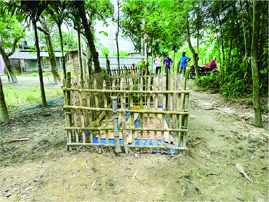 Image of মো: আল মামুন
